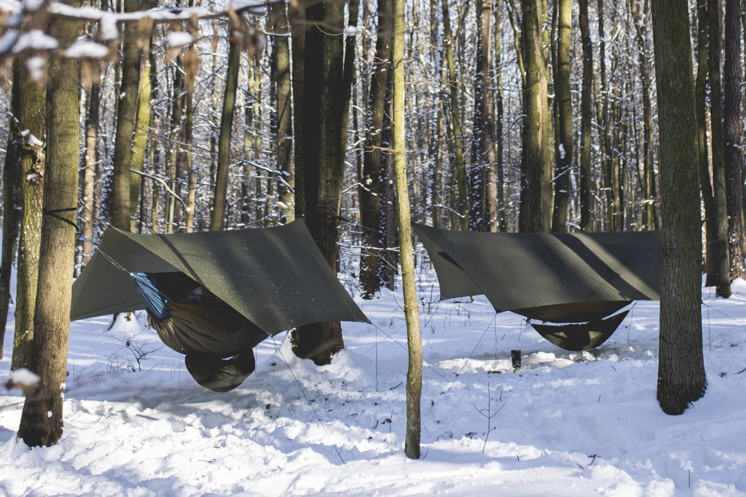 Lesovik HEKSA Tarp 3 Lesovik HEKSA Tarp